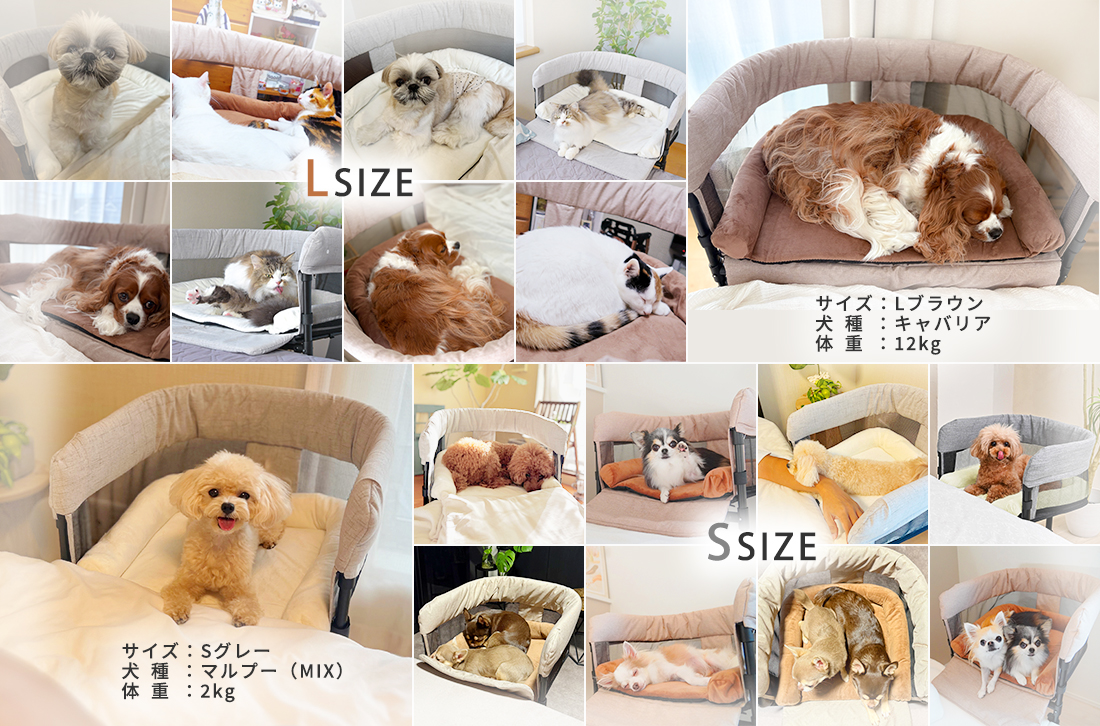 GUUUSLEEPを使用してくれた画像