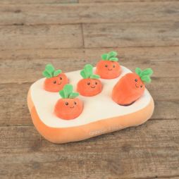 ノーズワーク　わんパクッ！にんじん畑
