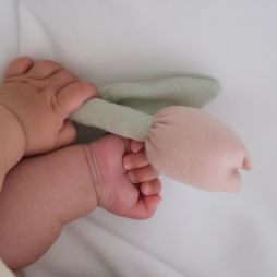 チューリップのラトル　ピンク