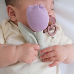 チューリップのラトル　パープル