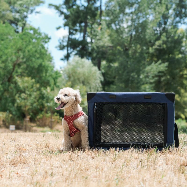 コンパクトクレート ワンタッチだわんっ Mサイズ ネイビー | KISSBABY
