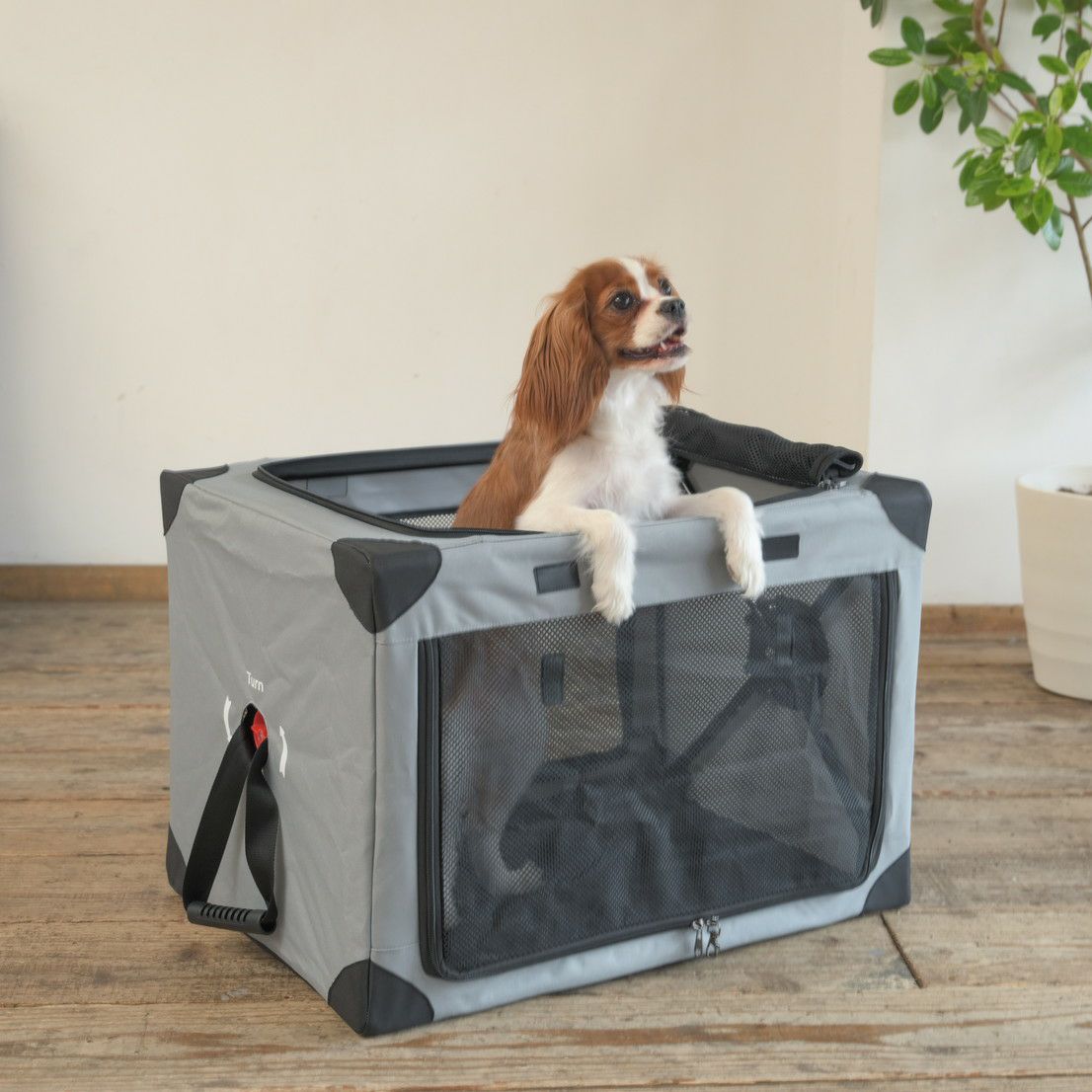 コンパクトクレート ワンタッチだわんっ Mサイズ グレー | KISSBABY