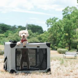わん茶ちゃん コンパクト 片手で飲めるワンタッチミニボトル140ml｜取扱商品一覧 ‐ 株式会社