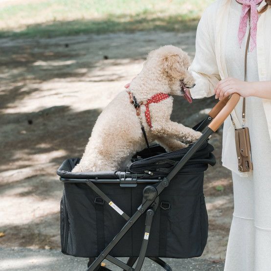 PET PARADISE 【P10倍】ペットカート 犬 小型犬 犬用カート