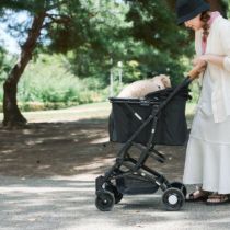 2WAY ペットカート ブラック | KISSBABY