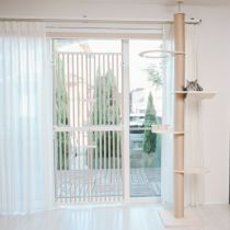 000000000361-01-s.jpg?t=