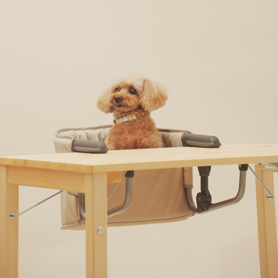 MOGU (もぐ)チェア ナッツ | KISSBABY