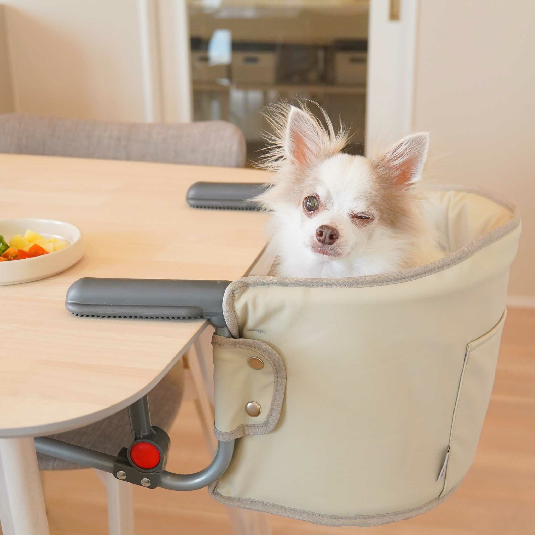 MOGU (もぐ)チェア ナッツ | KISSBABY